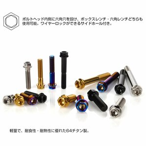 チタンボルト M10×30mm P1.25 六角ボルト 六角穴付き ホールヘッド フランジボルト シルバー JA1807の画像3