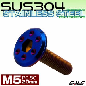 ステンレスボルト M5×20mm P0.8 ホールヘッド フラット 六角穴付 ボタンボルト SUS304 焼きチタンカラー TR0975