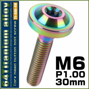 64チタン M6×30mm P1.0 ボタンボルト フランジ径16mm トルクス穴 焼きチタン風ライトカラー レインボー JA668