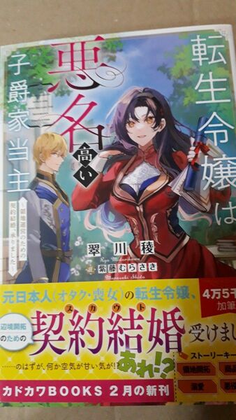 転生令嬢は悪名高い子爵家当主　領地運営のための契約結婚、承りました （カドカワＢＯＯＫＳ　Ｗ－み－１０－１－１） 翠川稜／著