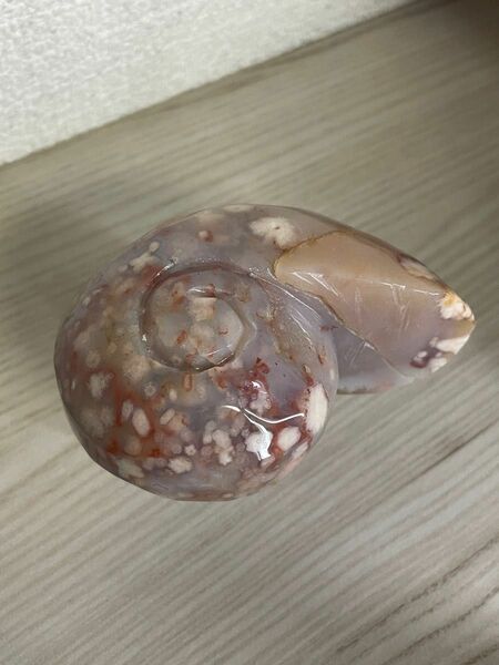 桜瑪瑙 カービング 貝殻 天然石