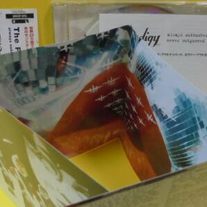 CD★ザ・プロディジー★日本盤のみボーナストラック1曲収録★The Prodigy : Always Outnumbered, Never Outgunned★国内盤★同梱可能の画像8