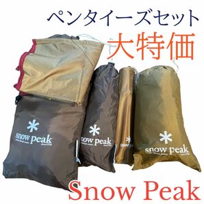 大特価　Snow Peak スノーピーク ペインダイーズセット