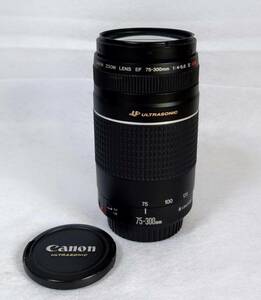 Canon ULTRASONIC 中～超望遠レンズ EF75-300mm F4-5.6 III USM