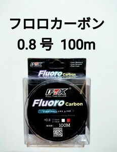 フロロカーボン　ライン　0.8号　100m　4.136lb　釣り糸　リーダー