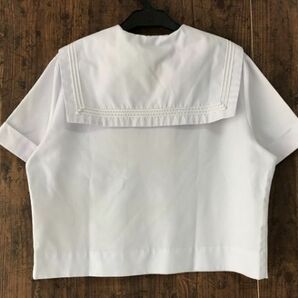 ss_0387y ★定形外 配送★ 大きいサイズ 7 (2XL) 兵庫県 県立 小野高校 夏服 半袖 指定セーラー服トンボ 製 女子制服の画像2