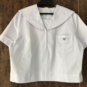 ss_0387y ★定形外 配送★ 大きいサイズ 7 (2XL) 兵庫県 県立 小野高校 夏服 半袖 指定セーラー服トンボ 製 女子制服の画像1