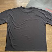 送料無料BRIEFINGブリーフィングMENS 3DプリントTシャツSOLOTEX形態回復STRETCH速乾調和軽快LOOSE FIT Design ECO Black(大特価XL)新品_画像6