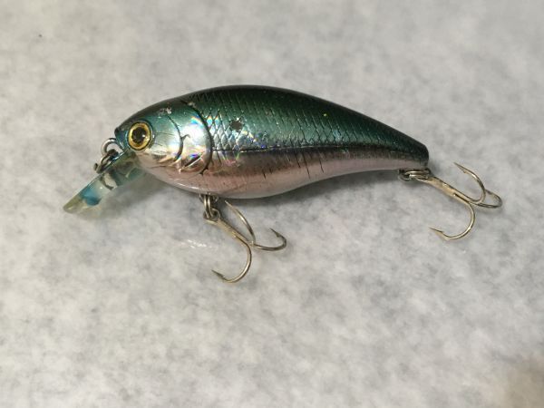CB-50 ベイトフィッシュ系カラー1 ラッキークラフト Lucky Craft (4)