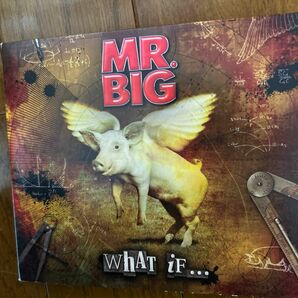 Mr.BIG