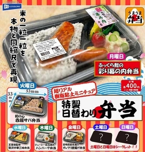 特製日替わり弁当　ノーマル5種(月～金)セット