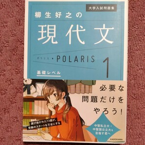 大学入試問題集 柳生好之の現代文ポラリス(１) 基礎レベル／柳生好之(著者)の画像1