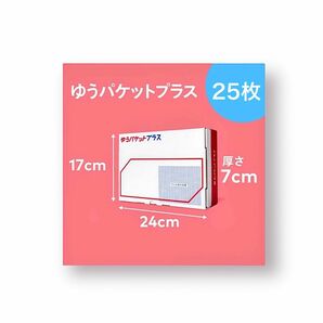 ゆうパケットプラス 専用BOX (25枚)