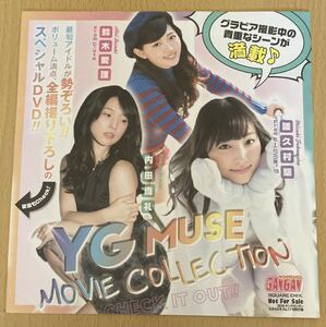 【鈴木愛理 ℃-ute 譜久村聖 モーニング娘。 内田真礼 他】 ヤングガンガン 2015年6月5日号 雑誌付録DVD 【アイドル雑誌 イメージビデオ】