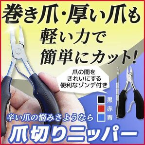 爪切り ニッパー 巻き爪 爪割れ 二枚爪 ネイルケア ゾンデ付き