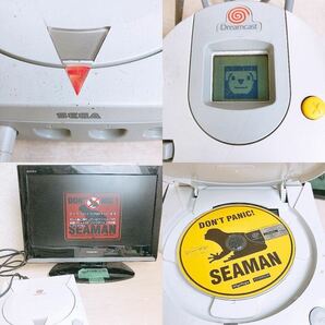 SEGA ドリームキャスト 本体 ソフト5枚まとめ 動確済 ケーブル コントローラー セガ DC Dreamcast ドリキャス ゲーム機 HKT-3000の画像5