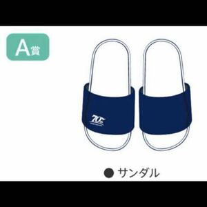 JRA 70周年ロゴオリジナルサンダル ウェルカムチャンス当選品　A賞