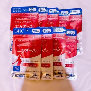 DHC　大豆イソフラボン エクオール20日分　9袋