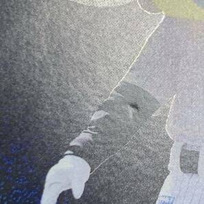 ★☆プロ野球 ドリームオーダー 千葉ロッテマリーンズ マーくん 限定プロモカード 傷あり☆★の画像2