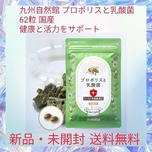  Kyushu nature pavilion propolis .. acid .62 bead domestic production health .. power . support green propolis shield . acid . propolis extract 