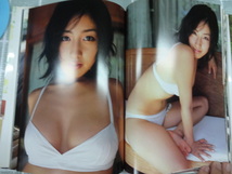 佐藤寛子　写真集　情熱　２００４年初版　帯あり　ジャンク　女優　グラビアアイドル　巨乳_画像6