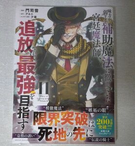 味方が弱すぎて補助魔法に徹していた宮廷魔法師、追放されて最強を目指す ⑪