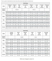 Baleraバレラ(US) 体操・新体操競技用 レオタード ☆大人 XL (アメリカ L )女子 LL サイズ換算☆新品未開封☆ 大きいサイズ ☆BB_画像5