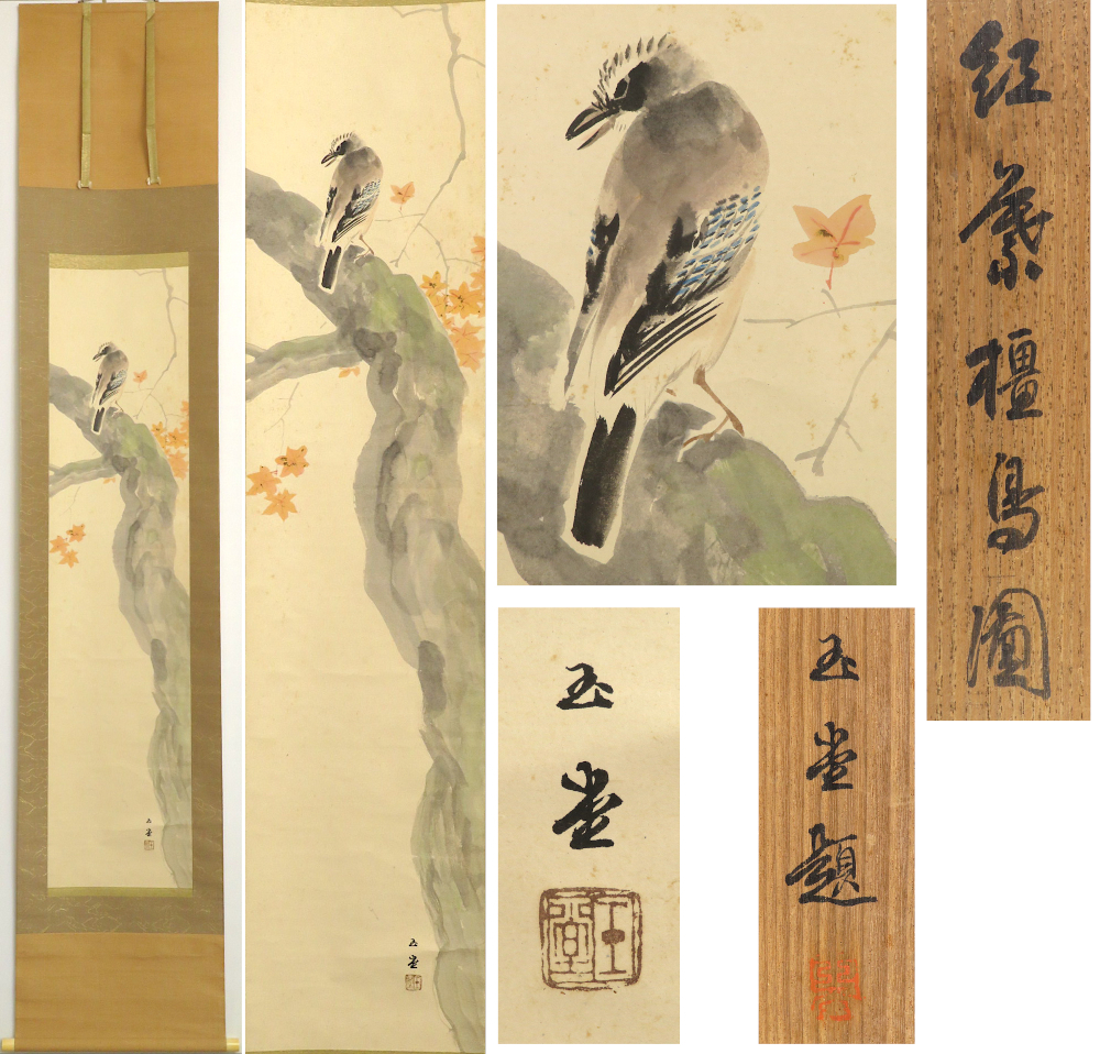 掛軸 川合玉堂 真作 紅葉檀鳥図 紙本肉筆 共箱, 絵画, 日本画, 花鳥, 鳥獣