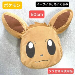 未使用品 ポケモン イーブイ ぬいぐるみ クッション ビッグフェイス 50cm タグ付き 非売品 特大