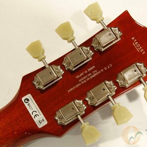 [良品] FUJIGEN（FgN） NLS101 AG 日本製ゴールドトップ/P-90タイプ搭載！ [PK384]の画像6