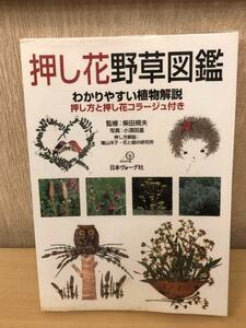 押し花野草図鑑　わかりやすい植物解説　押し方と押し花コラージュ付き 柴田規夫／監修　小須田進／写真