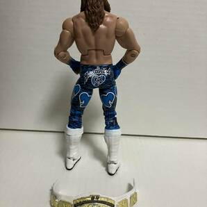 WWE Mattel Elite Shawn Michaels ショーン・マイケルズ マテル WWF プロレスフィギュアの画像2
