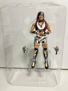 WWE Mattel Elite Iyo Sky Io Io Shirai 紫雷イオ マテル ブロック・レスナー フィギュア WWF プロレス