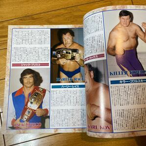 週刊ゴング11月9日増刊 平成14年  全日本プロレス 来日外国人選手 PERFECTカタログの画像5