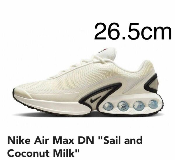 Nike Air Max DN【新品未使用】