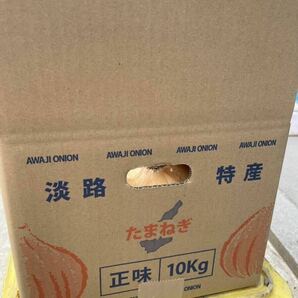 [農家直送]送料無料 淡路島産 新玉ねぎ レクスター 10kg 秀品 ①の画像2