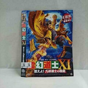 ○017386 レンタルUP◎DVD 霊幻道士 11 燃えよ！九叔道士の桃剣 20121 ※ケース無の画像1