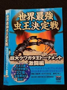 ○017357 レンタルUP◎DVD 世界最強虫王決定戦 巨大クワガタ王トーナメント 激闘編 30046 ※ケース無