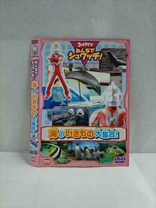 ○017381 レンタルUP◎DVD ウルトラマン みんなでシュワッチ！ 海の生き物大集合！ 3077 ※ケース無