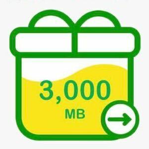 【即対応】3GB mineo マイネオ パケットギフト 3000MB