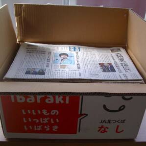 古新聞　15kg　産経新聞　チラシなし