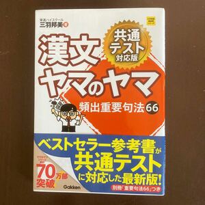 送料無料　共通テスト対応版　漢文ヤマのヤマ 東進ハイスクール　三羽邦美 学研　