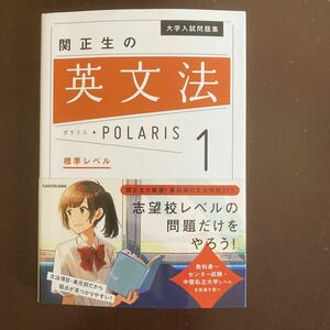 送料無料　関正生の英文法 大学入試問題集 ポラリス 標準レベル 関正生 