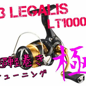 セール中【超軽巻きチューニング 極】23 レガリス LT 1000S