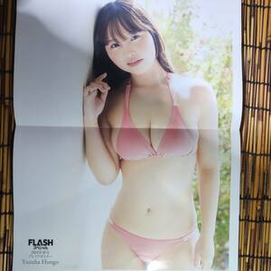 FLASH special 2024 year spring number premium poster book@...38×29.5.