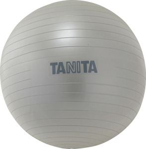 タニタサイズ ジムボール 直径65cm（シルバー）TS-962