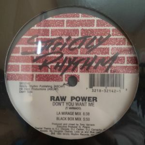 12inchレコード　RAW POWER / DON'T YOU WANT ME