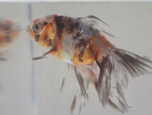 ５匹 東錦 ４から５ＣＭ ＳＭサイズ 金魚 淡水魚 熱帯魚 生体 即決 ８０サイズ関東送料８７３円_画像5