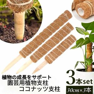 新品　未使用品　植物支柱3個セット　モンステラ支柱 園芸支柱　ココナッツパームスティック　植物補助　ツル　