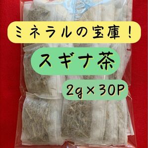 【ミネラルの宝庫！】2g×30P スギナ茶 スギナ 野草茶 健康茶 漢方 お茶 オメガ3脂肪酸 薬草 ビタミン クーポン利用 